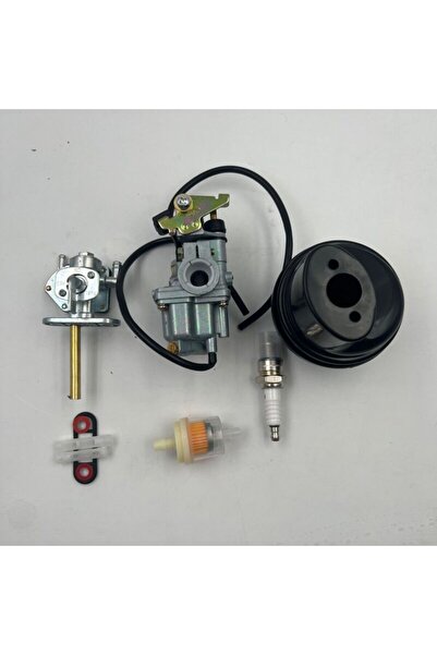 Morvena Picks Carburator pentru LT50 LT 50 JR50 LTA50 LT-A50 (1984 - 1987) AT...
