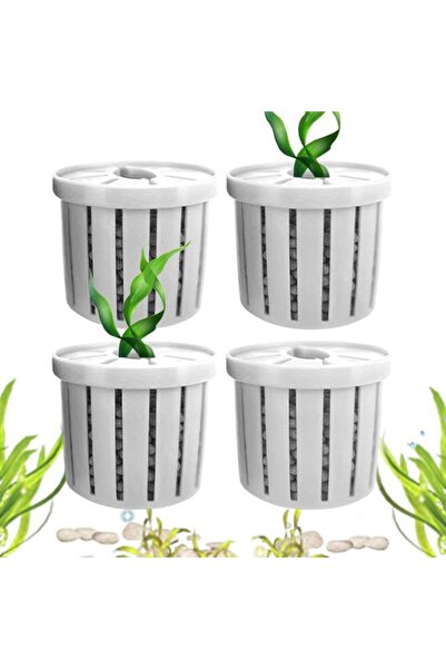Morvena Picks Jardiniere pentru acvariu -pachet de 4 -Rafturi pentru plantare...