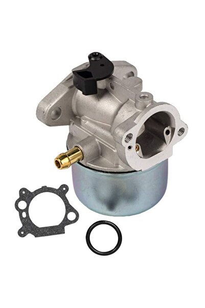 Morvena Picks Carburator compatibil cu motorul Briggs & Stratton 799868 49817...