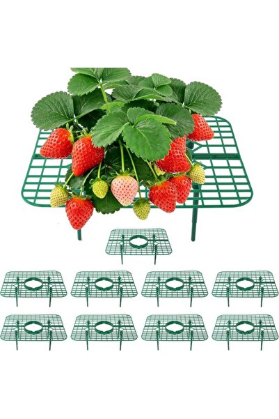 Morvena Picks Suporturi Capsuni - Cusca pentru fructe - Plase pentru fructe -...