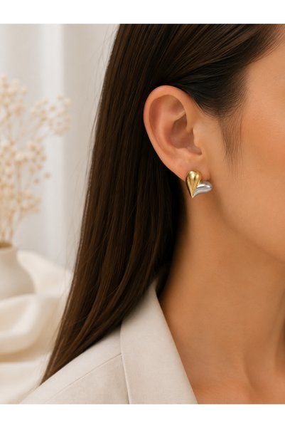 Archhazel Jewelery Steel Double Color Heart Earrings
