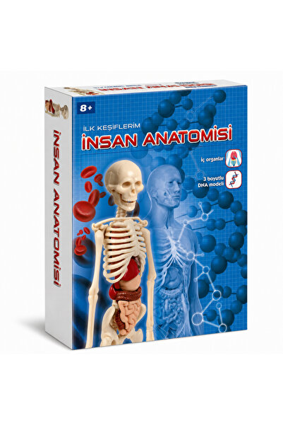 NW NessiWorld 64297 Human Anatomy - Science and Games +8 Years Old