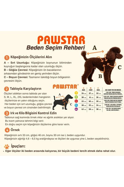 Pawstar Green Sera Stripe Dog Hoodie Dog Sweatshirt Dog Outfit Cat Outfit