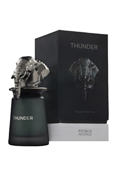 FRENCH AVENUE Thunder EDP M 100 ml