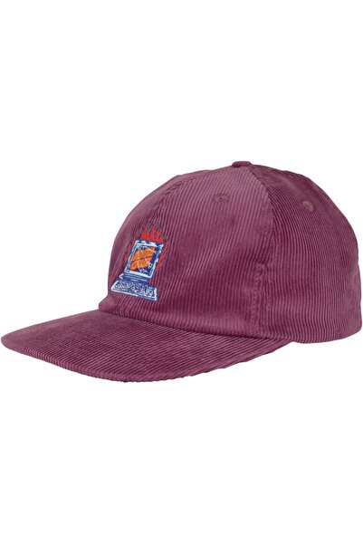 Santa Cruz Șapcă Snapback Self DeStr Win