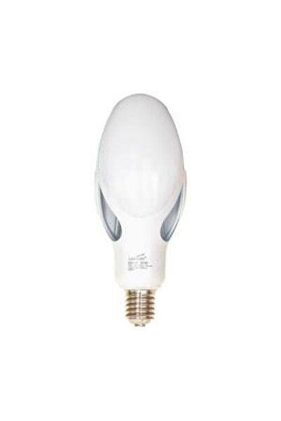 lohuıs Bec LED Flower 80W E40 6500K – LOHUIS