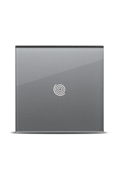 Danex Special function 10w gray touch ns -, pulsar, gray
