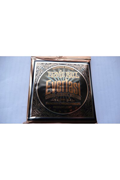 NO BRAND Corzi ERNIE BALL 2546 Everlast Phosphor (12-54)