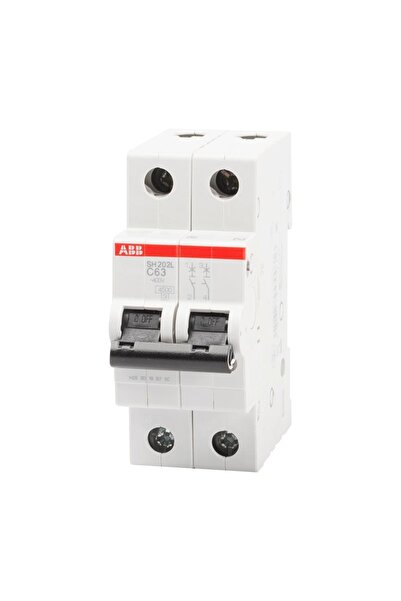 ABB Automatic switch 63a 2p c 4.5ka sh202-l, abb, multicolored