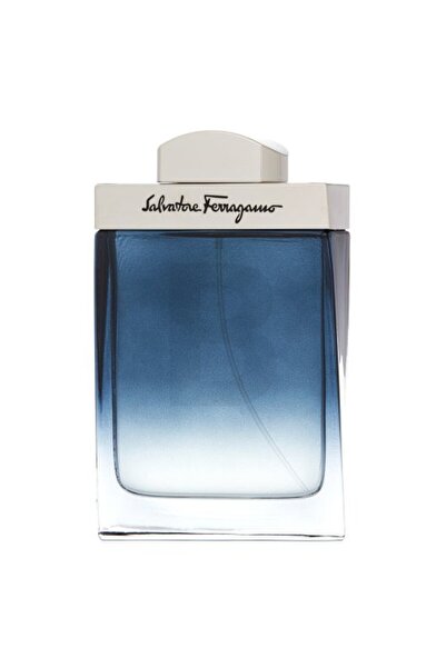 Salvatore Ferragamo Subtil Pour Homme Eau de Toilette για Άνδρες 100 ml
