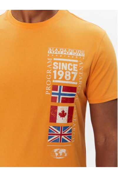 NO BRAND Tricou pentru bărbați Napapijri NAPAPIJRI-NP0A4HQGA701 S-TURIN 1 APR...