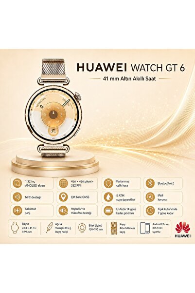 Huawei Watch GT 6 41 mm - Altın