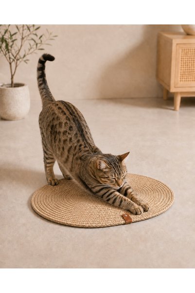 Naspar Hasır Jüt İp Oval Kedi Tırmalama Matı ve Yatağı / Çok Amaçlı Kullanım ...