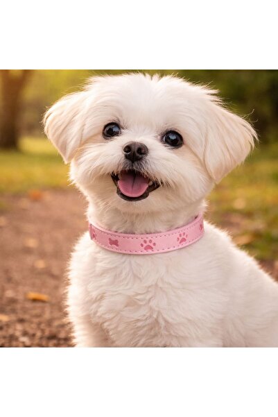 OEM Pink Dog Collar 35x1.5cm