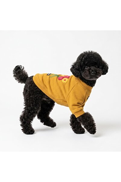 Buddy Store Daisy Nakışlı Hardal Köpek Sweatshirt