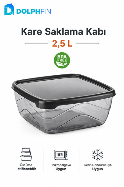 DolphFin Square Storage Container 2.5 Liters 21X21X8.5 cm Smoked Transparent ...