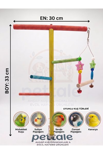 PetTale Wooden Bird Play Stand - Activity Area on Cage Top with t Perches and Bell Swing