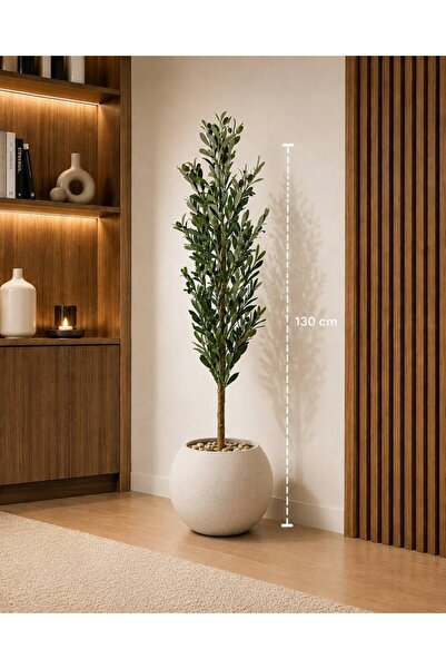 CENTRHOME 130 cm Tall Olive Tree with a Sprayed Trunk