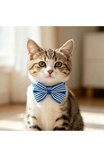 idei Striped pet bow Patterned L7.5×W5 cm, adjustable collar 20‑36 cm, decora...
