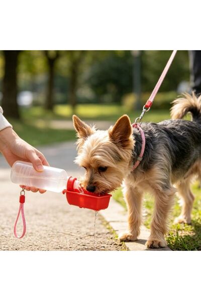 idei Recipient portabil de hidratare pentru animale de companie dimensiune 20...