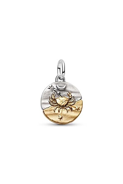 Pandora Yengeç Burcu Madalyon Charm