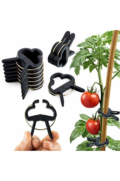 Morvena Picks - 60 de cleme pentru plante per pachet - Reutilizabile - Usor d...
