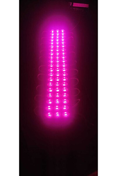 Ermelektronik 12V 3W 3'lü Lensli Modül LED Pembe IP65 Su Geçirmez Oto Ayak Al...
