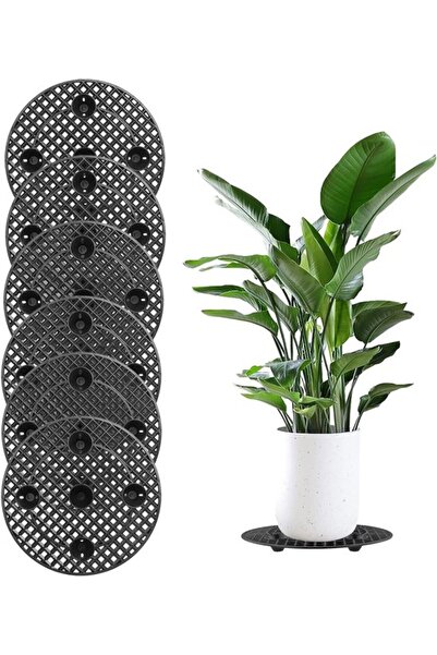 Morvena Picks 30. Set de suporturi pentru jardiniere de 6 piese, de 30 cm, cu...