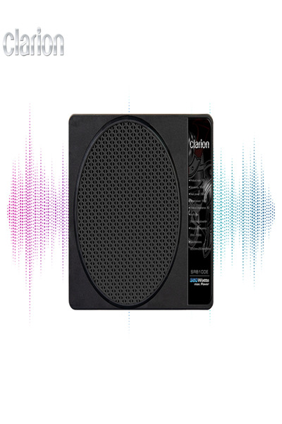 Clarion Koltuk Altı Aktif Bass SRB100E