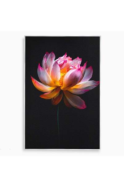 Luxcanva Tablou Canvas Splendoare Nocturnă 70x100 cm cu Rama Argintiu Lotus F...