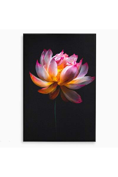 Luxcanva Tablou Canvas Splendoare Nocturnă 70x100 cm cu Rama Negru Lotus Floa...