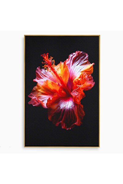 Luxcanva Tablou Canvas Floare De Hibiscus 40x60 cm cu Rama Auriu Floare Hibis...