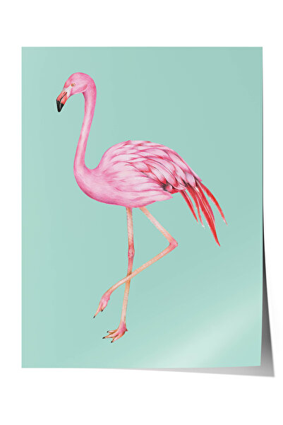 Zestia Poster Premium Minimalist, Flamingo roz pe fundal verde mentă, Nr.: 20488
