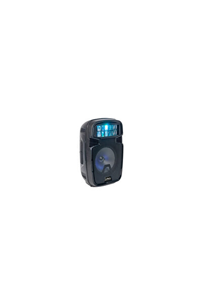 Ibiza Sound Boxa portabila iluminata LED, 40W RMS, USB/SD/BT/FM, 235x210x385 mm