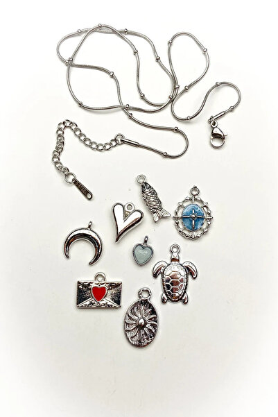 roshel 8 Pcs Mixed Motifs Silver Color Pendant Charms and Chain Set