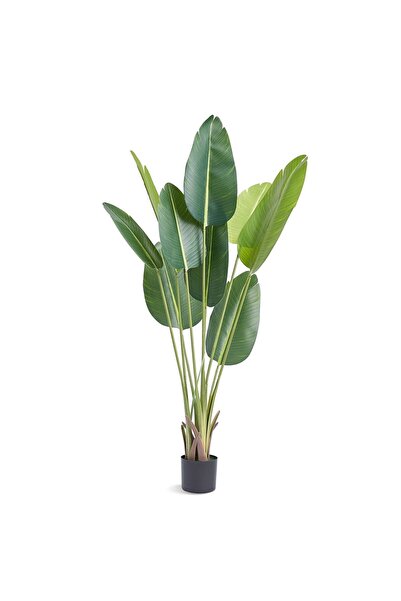Strend Pro Planta artificiala decor Pasarea Paradisului, Dimensiuni 700 x 700...