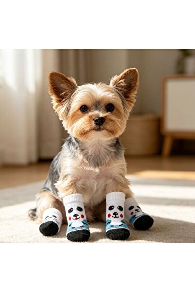 idei Comfortable knitted socks for small dogs size M, dimensions 7.5 cm long ...