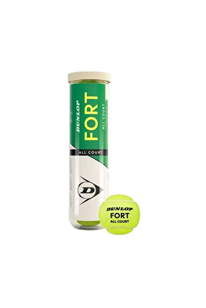 Generic Brand Set of 4 Fort All Court tennis balls