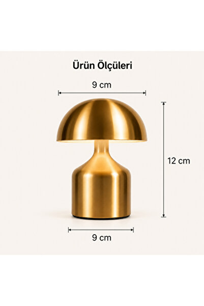 Coverzone Şarj Edilebilir LED Mantar Masa Lambası, Dokunmatik 3 Renk Modlu, Kablosuz Metal Abajur, USB Type-C Şarjlı Komodin Gece Lambası, LED3202-2