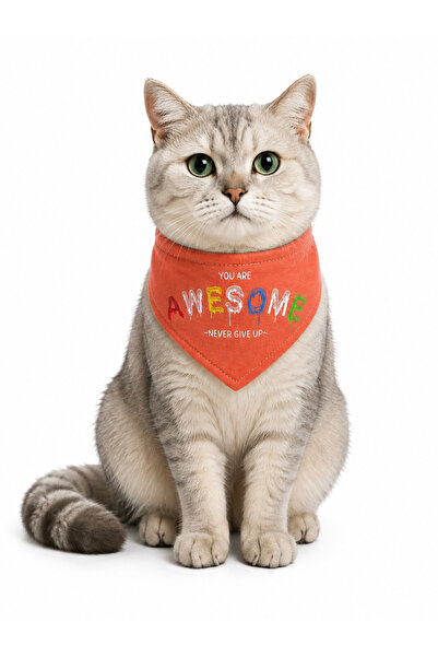 WODDY Cat Dog Collar with Scarf