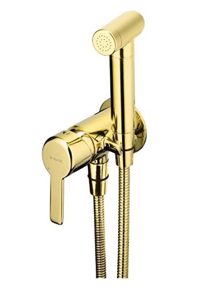 DEANTE BQA Z 34 M Built-in Bidet Faucet, Gold