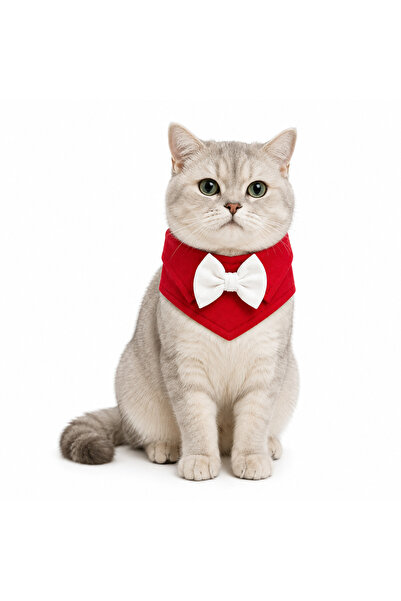 WODDY Cat Dog Collar with Scarf