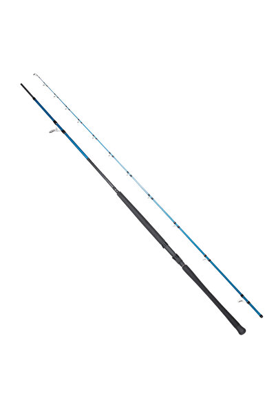 RYUJI SHORE GAME FUJI KW 2P SHORE JIG KAMIŞ