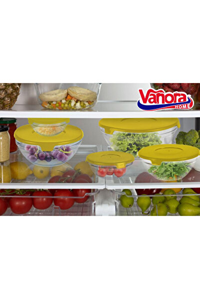 vanora SET OF 5 GLASS BOWLS WITH LID, YELLOW