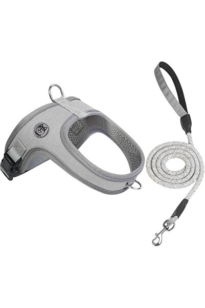 TERRIFI Dog Harness and Leash Set, No-Pull Adjustable Soft Mesh Harness with ...