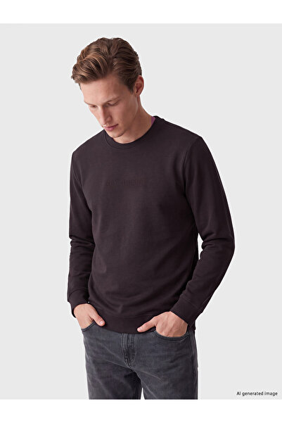 LC Waikiki Southblue Plum Crew Neck Men's Sweatshirt
