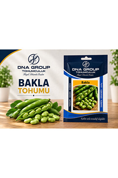 BAKLA tohumu yerli standart net 25 gr