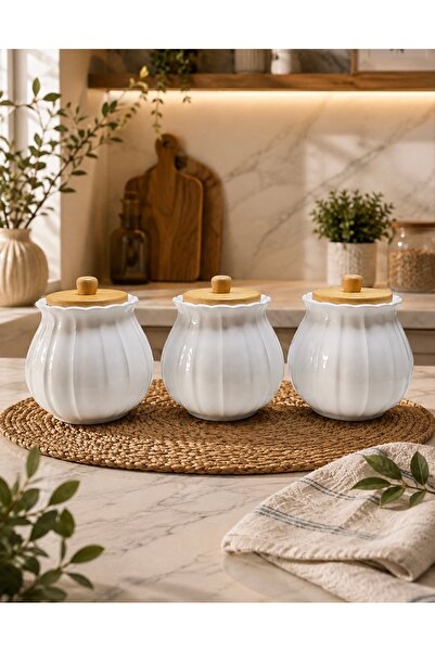 Pembelia Life 3-Piece Porcelain Countertop Spice Jar Storage Jar Set with Bam...