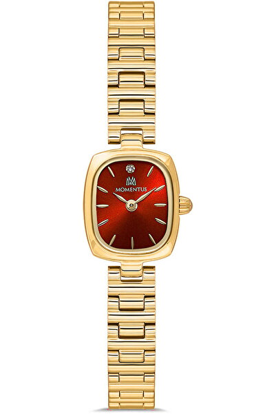 Momentus Cw317G-14Sg