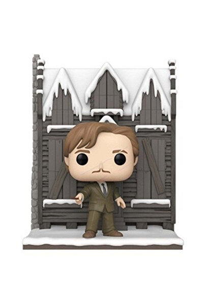 Funko بوب ديلوكس! أفلام: هاري بوتر هوجسميد - البيت الهائج مع لوبين